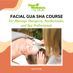 Facial Gua Sha Course for Professionals