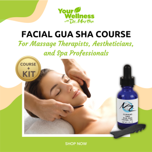 Facial Gua Sha Course + Skin Care Kit for Professionals!