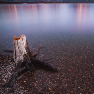Boost your immune - Standing stump qigong - audio meditation