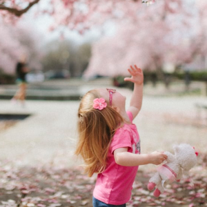 Essential Oil Blend - Children's Calming help