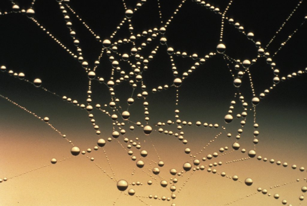 connections