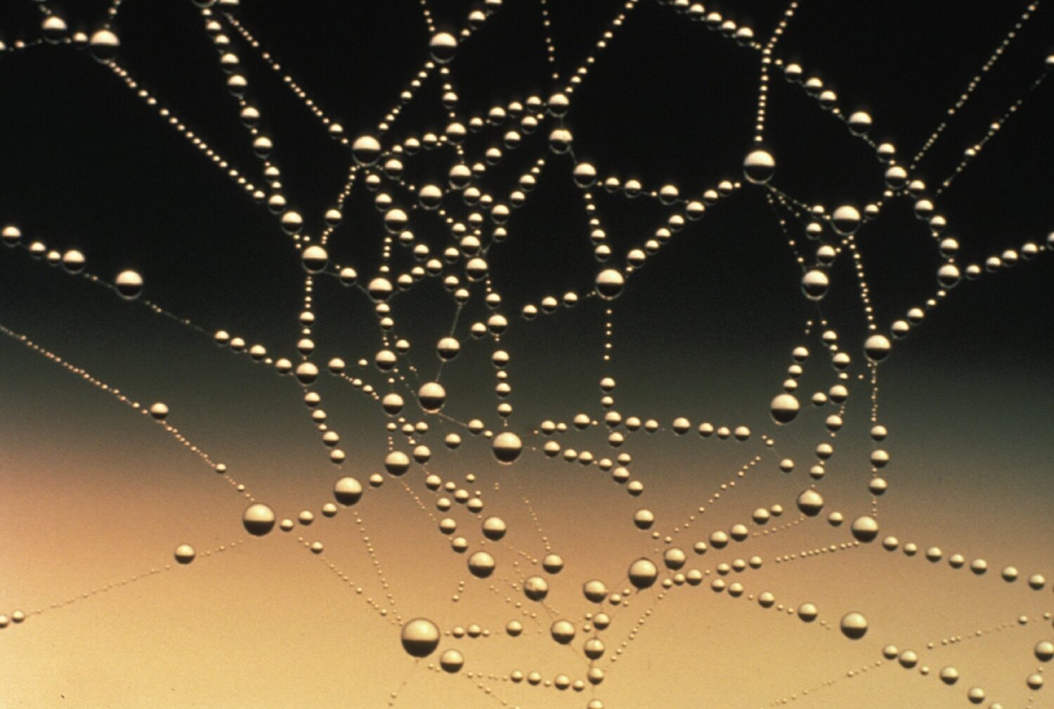 connections