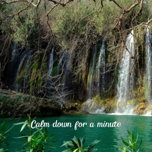 Calm down for a minute with water healing sound therapy.